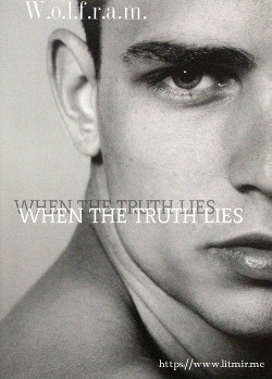 Книга ﻿Когда истина лжёт (СИ)