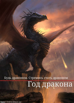 Книга Год дракона (СИ)