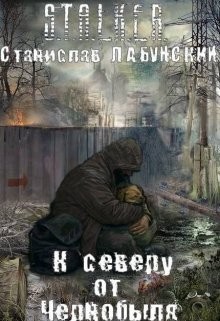 Книга К северу от Чернобыля (СИ)