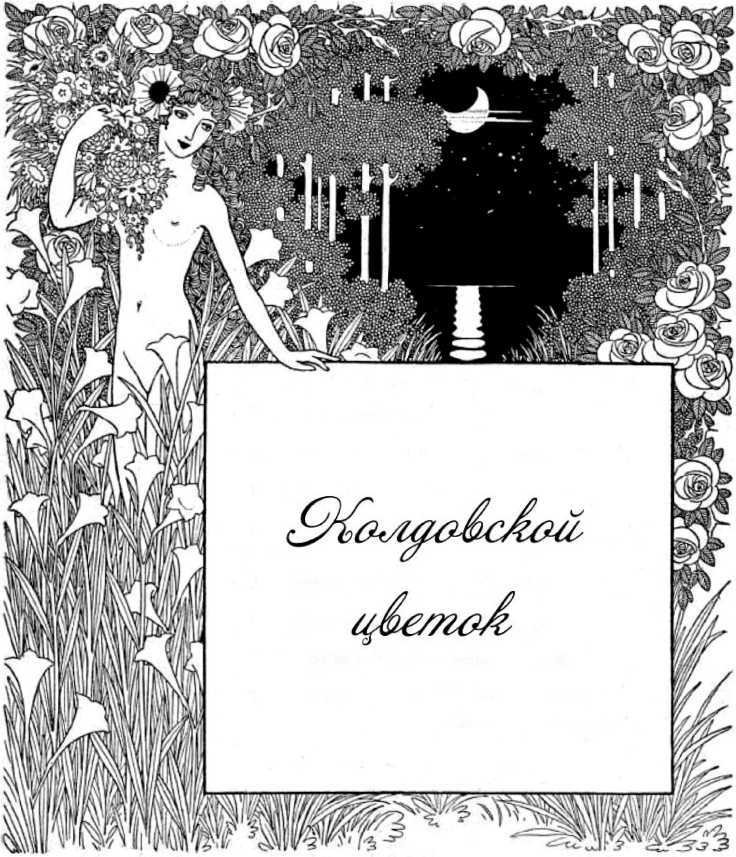 Колдовской цветок<br />(Фантастика Серебряного века. Том IX) - i_003.jpg
