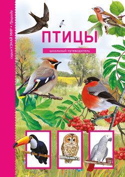 Книга Птицы