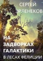 Книга В лесах Фелиции (СИ)