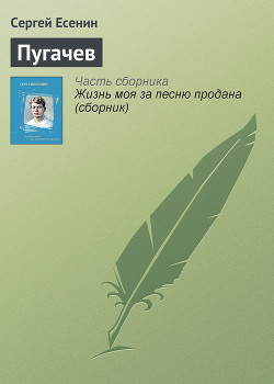 Книга Пугачев