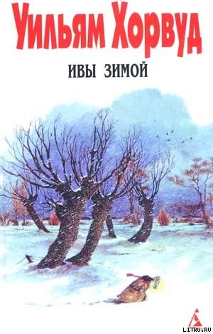 Книга Ивы зимой