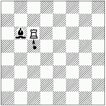 Шахматы для самых маленьких - i_066.png