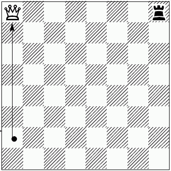 Шахматы для самых маленьких - i_099.png