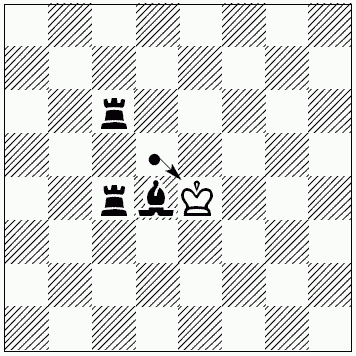 Шахматы для самых маленьких - i_121.png