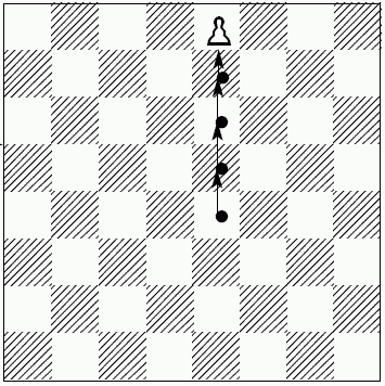 Шахматы для самых маленьких - i_136.png