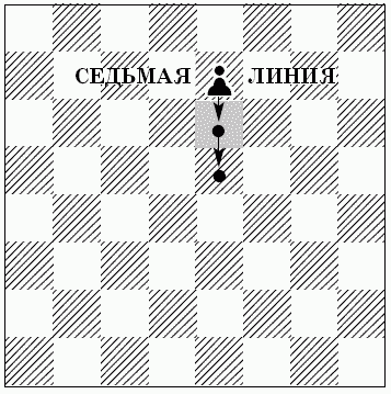 Шахматы для самых маленьких - i_138.png