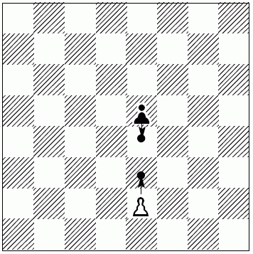 Шахматы для самых маленьких - i_142.png