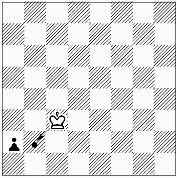 Шахматы для самых маленьких - i_175.png