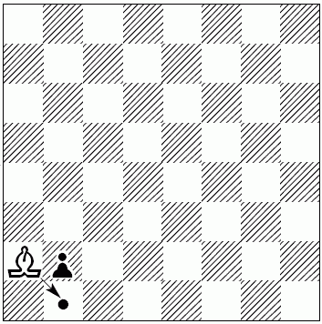 Шахматы для самых маленьких - i_176.png