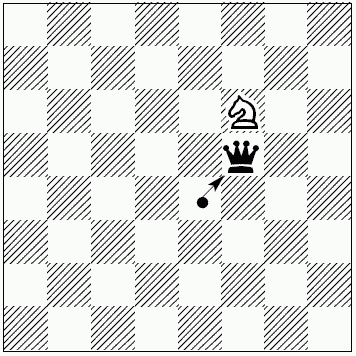 Шахматы для самых маленьких - i_226.png