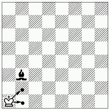 Шахматы для самых маленьких - i_306.png