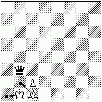Шахматы для самых маленьких - i_312.png