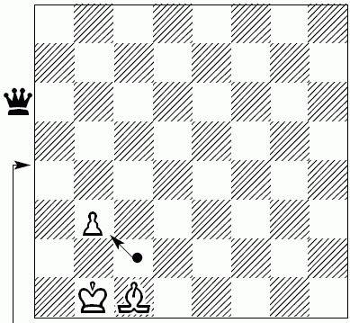 Шахматы для самых маленьких - i_313.png