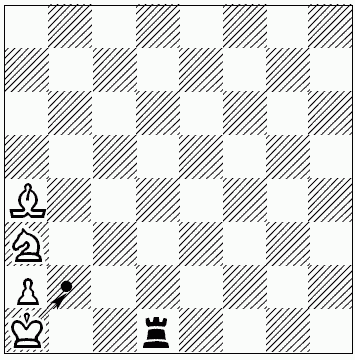 Шахматы для самых маленьких - i_314.png