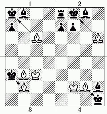 Шахматы для самых маленьких - i_359.png