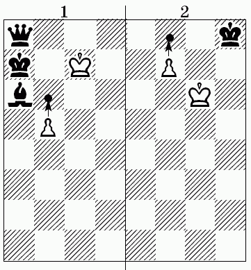 Шахматы для самых маленьких - i_473.png