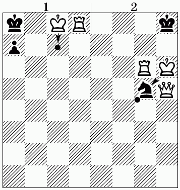 Шахматы для самых маленьких - i_475.png