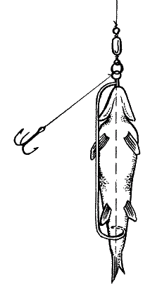 Большая книга рыболова–любителя (с цветной вкладкой) - _196.png