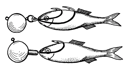 Большая книга рыболова–любителя (с цветной вкладкой) - _207.png