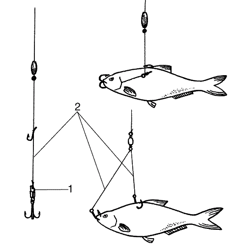 Большая книга рыболова–любителя (с цветной вкладкой) - _298.png