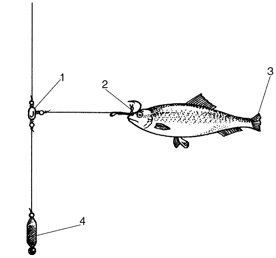 Большая книга рыболова–любителя (с цветной вкладкой) - _361.png