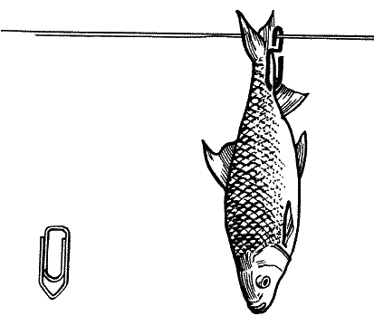 Большая книга рыболова–любителя (с цветной вкладкой) - _365.png