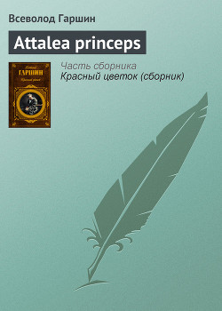 Книга Аttalea princeps