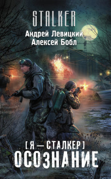 Аудиокнига Сталкер. Осознание
