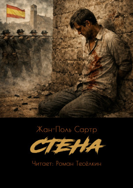 Аудиокнига Стена