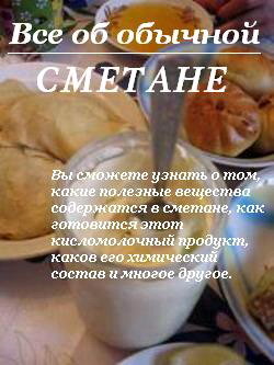 Книга Все об обычной сметане