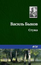 Книга Стужа