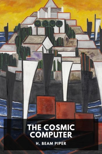 Книга The Cosmic Computer