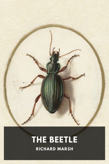 Книга The Beetle