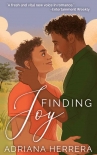 Книга Finding Joy: A Gay Romance