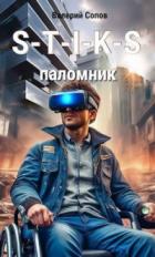 Книга S-T-I-K-S. Паломник