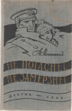 Книга Берберийский лев