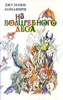 Книга Замарашка