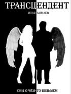 Книга Трансцендент (СИ)