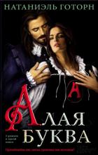 Книга Алая буква