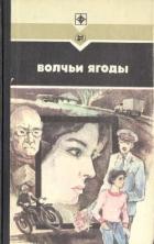 Книга Дело Ирины Гай