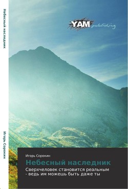 Книга «Хроники Юритера». Небесный наследник (СИ)