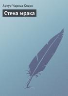 Книга Стена мрака