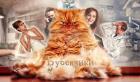 Книга Бубенчики (СИ)