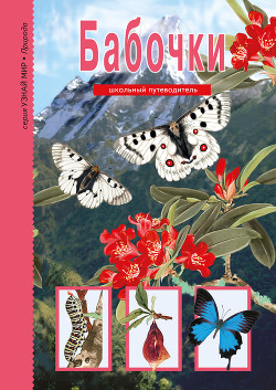 Книга Бабочки