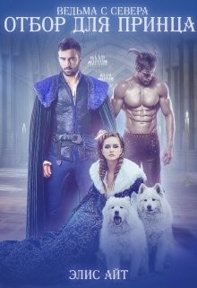 Книга Отбор для принца (СИ)