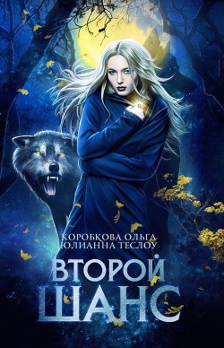 Книга Второй шанс (СИ)