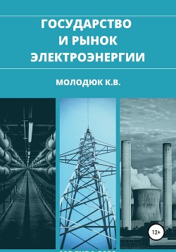 Книга Государство и рынок электроэнергии